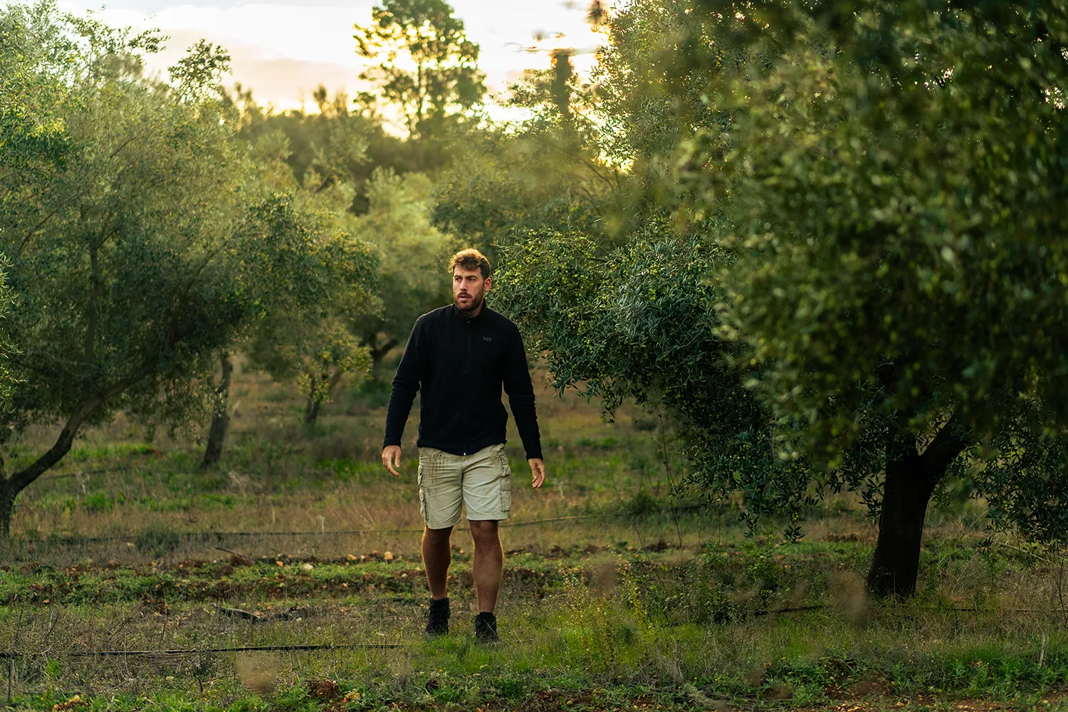 Toni Galmés caminant entre oliveres