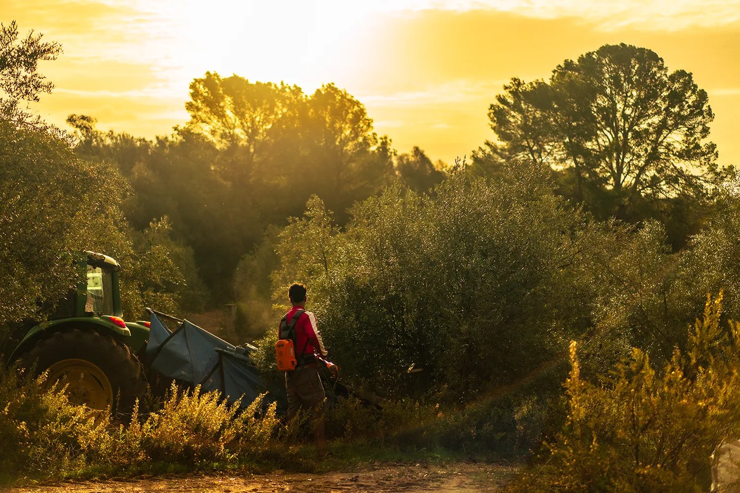 Poda amb tractor i traballador
