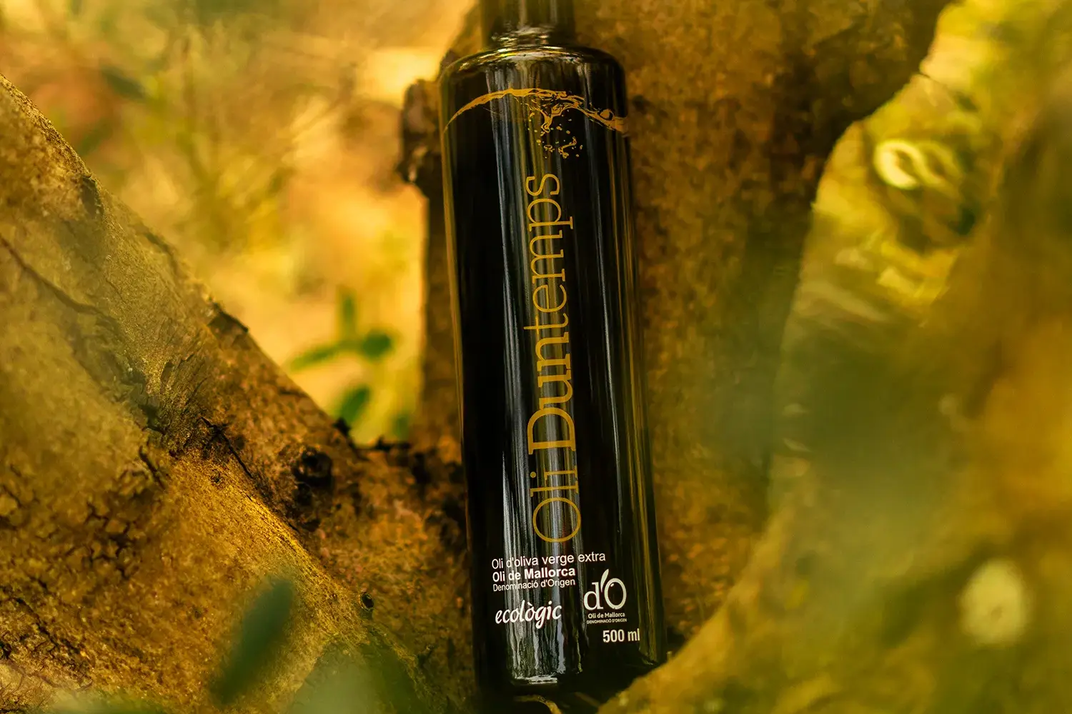 Botella d'oli ecològic damunt arbre